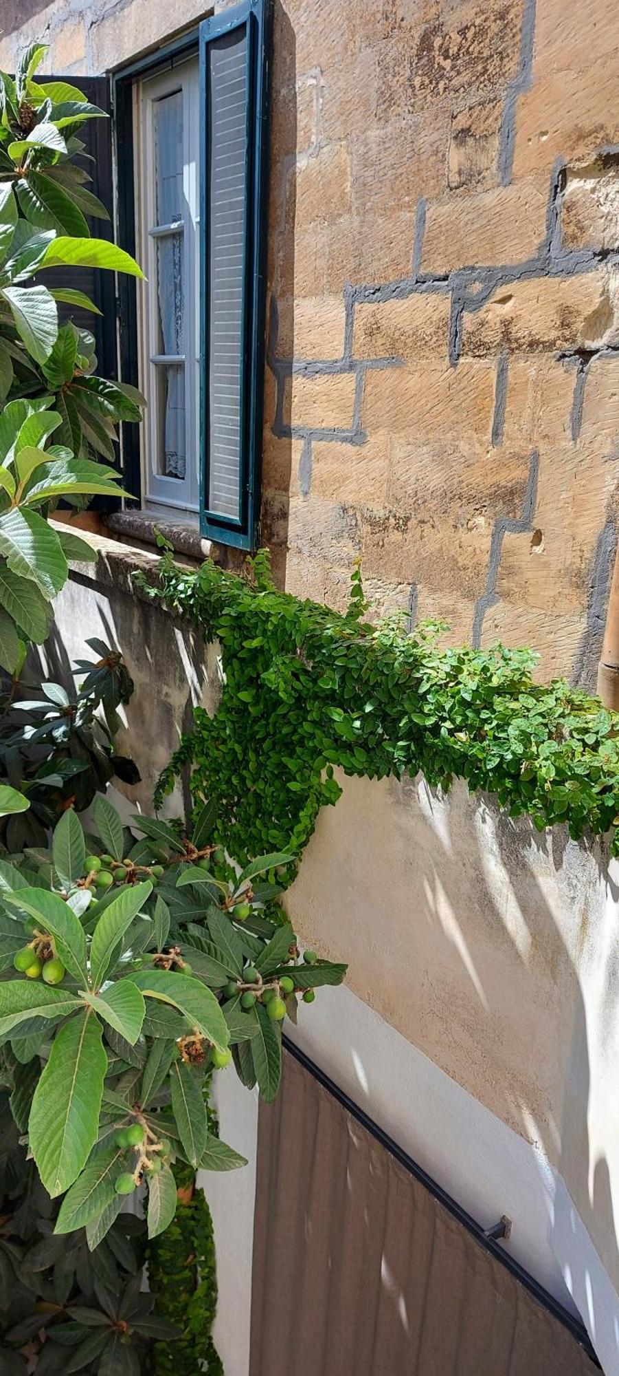 Massa House * Lecce